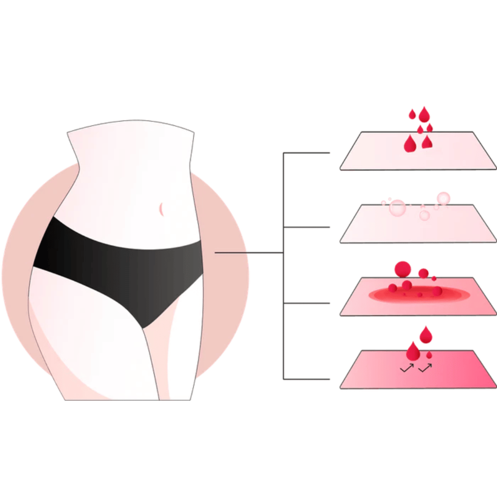 composition Culotte Menstruelle Léa Mademoiselle Culotte
